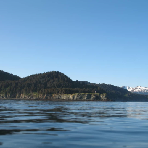 a steep shoreline backed by forested mountains overlooks the ocean