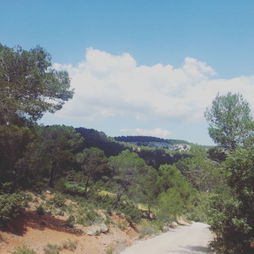 A dirt path overlooks forested hills and fluffy clouds